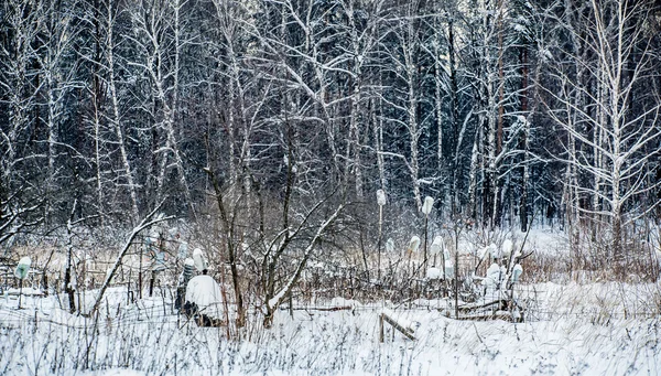 Besneeuwde winterlandschap — Stockfoto