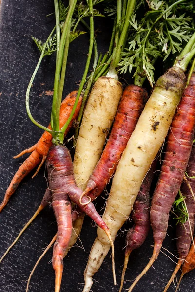 Organiczny świeże marchewki — Zdjęcie stockowe