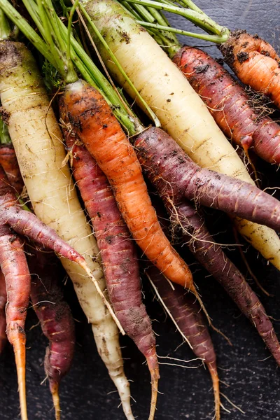 Bio-frische Karotten — Stockfoto