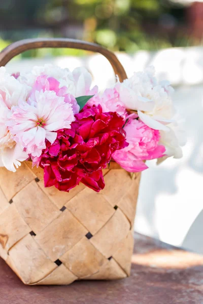 Mooie lentebloemen — Stockfoto