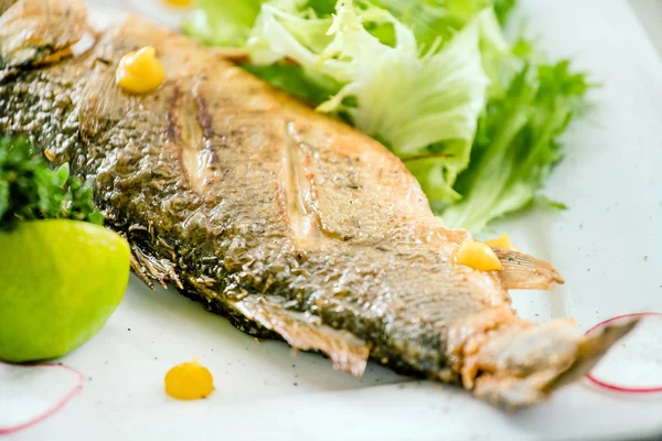 Fried fish on plate — Stock Photo, Image