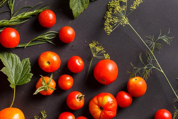 Conjunto de legumes frescos — Fotografia de Stock