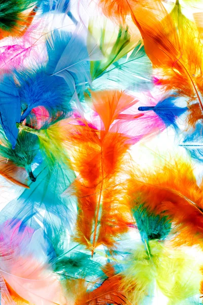 Abstract Colorful feathers — Stock Photo, Image