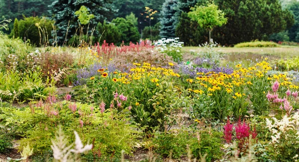 Summer flower garden — Stock Photo, Image