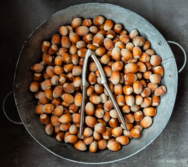 Lískové ořechy v plechu — Stock fotografie