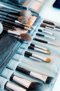 Makyaj fırçaları.