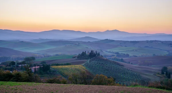 Toscana colinas paisaje —  Fotos de Stock