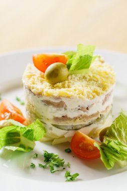 Plaka üzerinde katmanlı salata