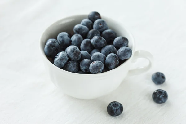 Fresh blueberries in plate — Stock Photo, Image