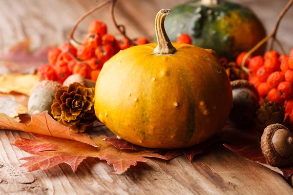 Pumpkin with fall leaves — Stock Photo, Image