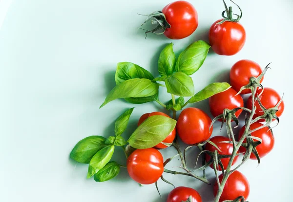 Cherry Tomaten met basilicum — Stockfoto