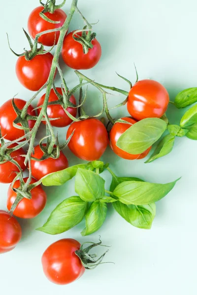 Pomidory z bazylią — Zdjęcie stockowe