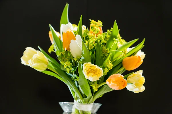 Beautiful spring flowers — Stock Photo, Image