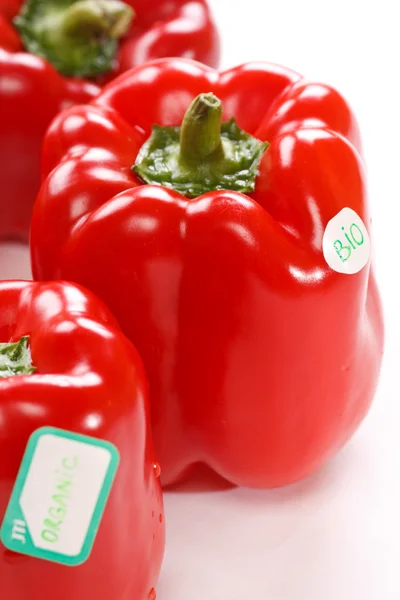 Fresh ripe peppers — Stock Photo, Image