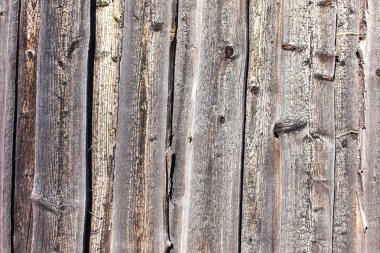 ahşap Resepsiyon arka plan