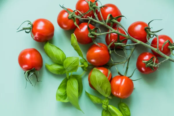 Tomates cerises et basilic — Photo