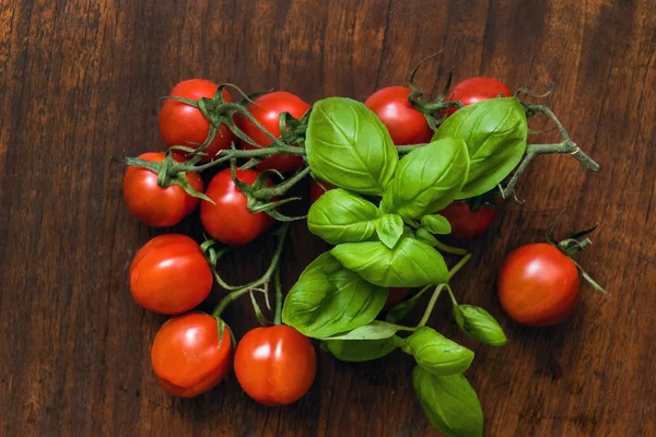 Tomates cerises et basilic — Photo