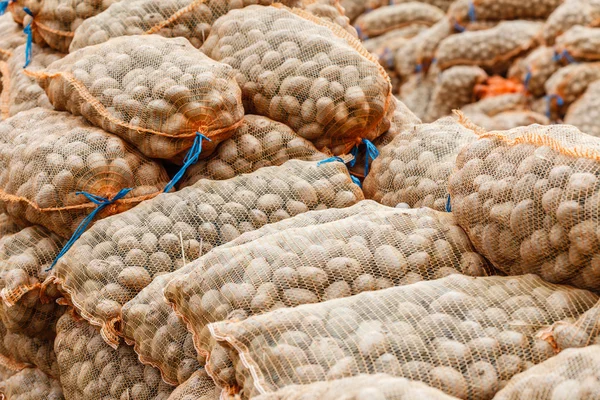 Potatoes in bags at market — Stock Photo, Image