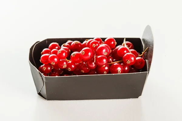 Red currant in the box — Stock Photo, Image