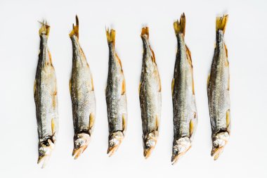 Beyaz üzerinde kuru balıklar 