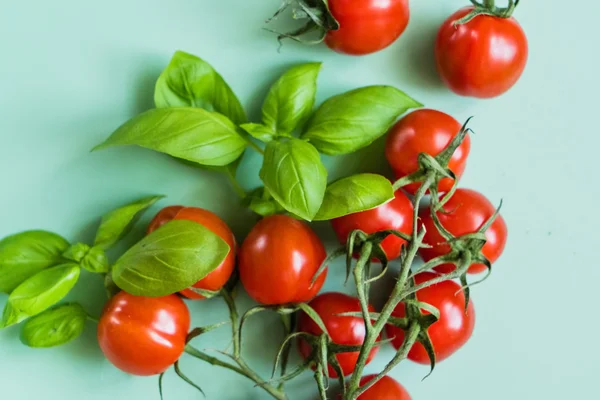 Cherry tomatoes and basil — Stock Photo, Image