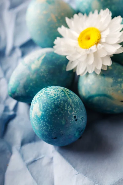 Huevos azules de Pascua —  Fotos de Stock