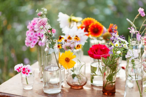 Beautiful nice flowers — Stock Photo, Image