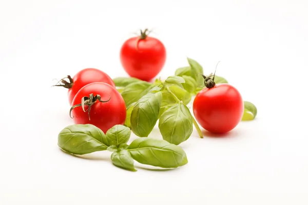 Fresh red tomatoes and basil — Stock Photo, Image