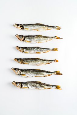 Beyaz üzerinde kuru balıklar 