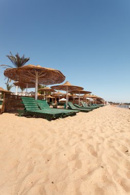 Resort'ta plaj şemsiyeleri    