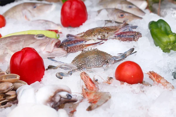 Gefrorener Fisch im Eis — Stockfoto