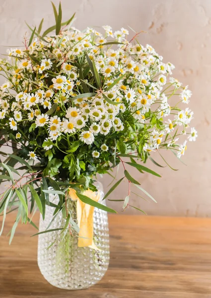 Hermosas flores de verano —  Fotos de Stock