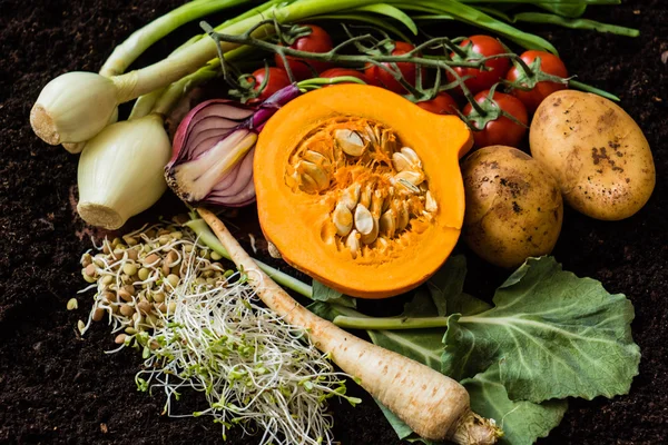 Verduras orgánicas frescas — Foto de Stock