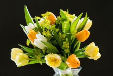 Güzel bahar çiçekleri