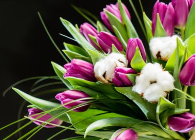 Güzel bahar çiçekleri