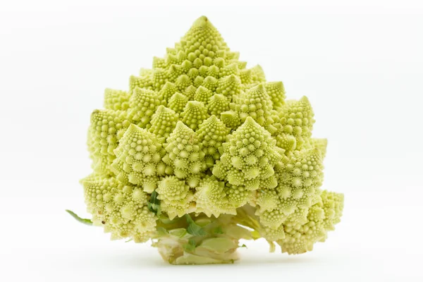 Grön romanesco broccoli — Stockfoto