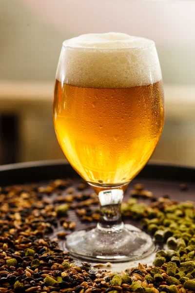 Kall öl i glas — Stockfoto
