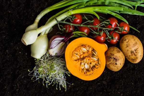 Verduras orgánicas frescas — Foto de Stock