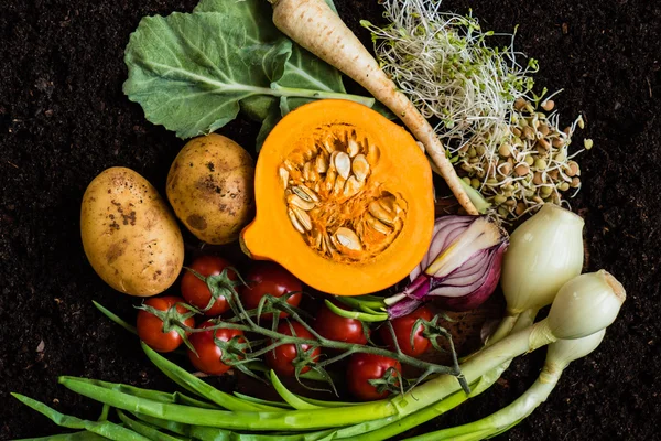 Produtos hortícolas biológicos frescos — Fotografia de Stock