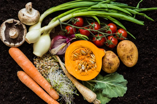 Produtos hortícolas biológicos frescos — Fotografia de Stock