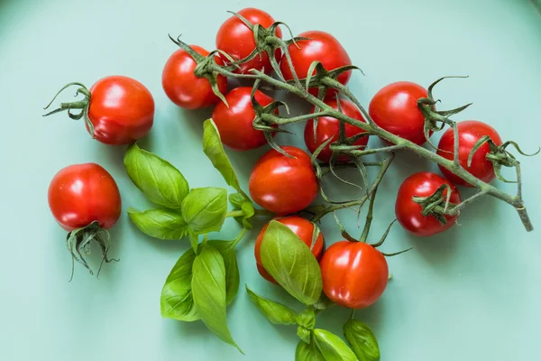Tomate cereja e manjericão — Fotografia de Stock