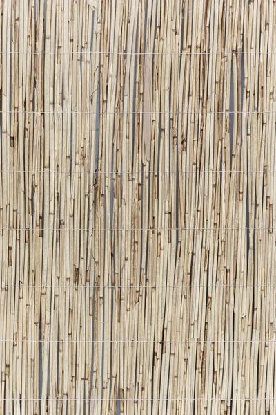 Абстрактная бамбуковая доска — стоковое фото