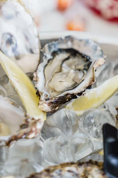 Ostras frescas con limones — Foto de Stock