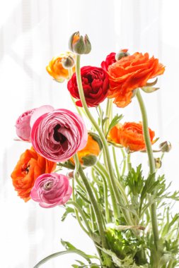 Farsça düğün çiçeği çiçek