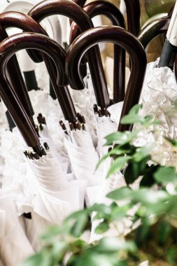 kulplu beyaz şemsiye