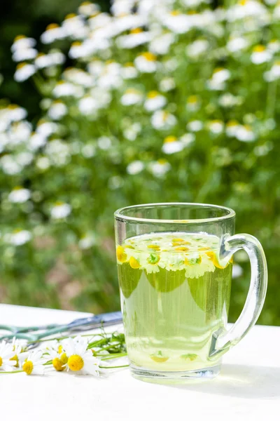 Heřmánkový čaj ve skle — Stock fotografie