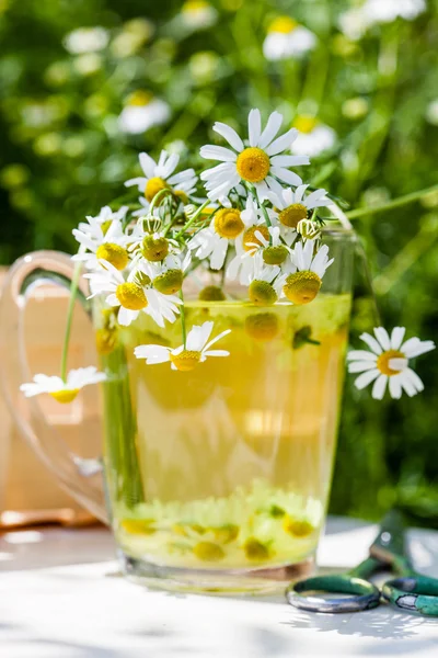 Chamomile tea in glass — Stock Photo, Image
