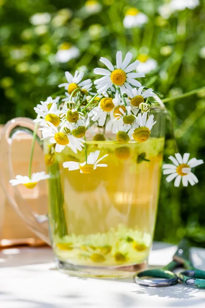 洋甘菊茶在玻璃 — 图库照片