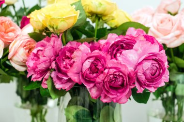 güzel bir renk güller