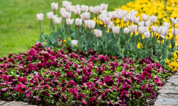 Mooie lentetuin — Stockfoto